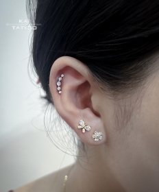 xỏ1